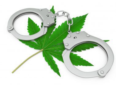 If the Police Caught Me With Marijuana, am I Automatically Guilty?